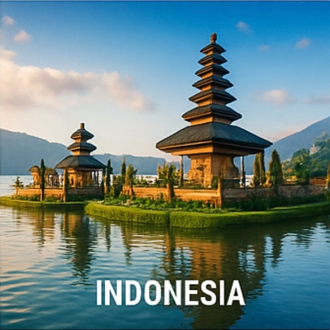 PACK DUO E-BOOKS : Égypte + Indonésie